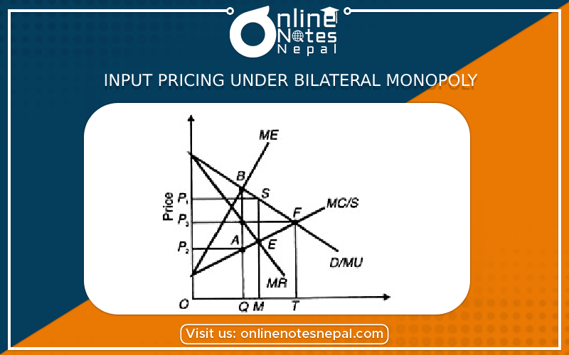 Input Pricing under Bilateral Monopoly Photo